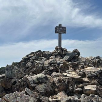 息ができないほど虫が非常に多かった