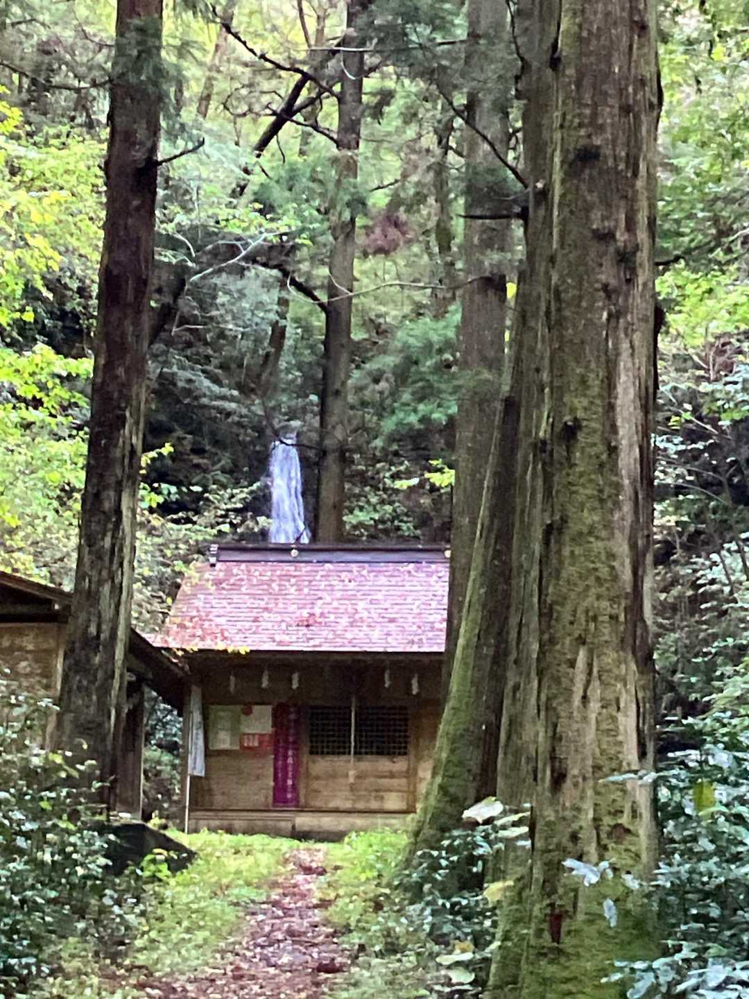 登山の安全と道中熊さんに会わないようにご祈願します。
