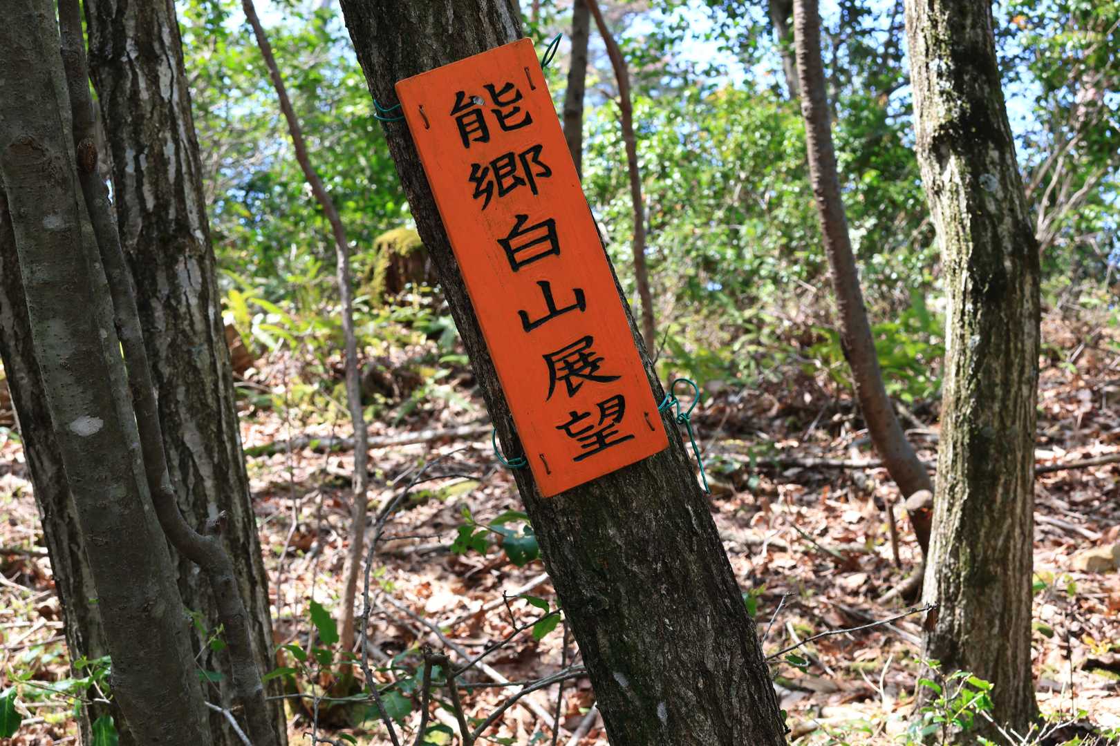 文珠山への道中。