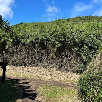 矢倉沢峠分岐点へ