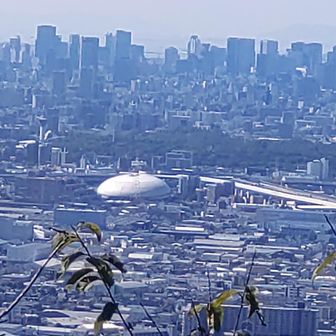なみはやドーム.鶴見緑地が見えています✨