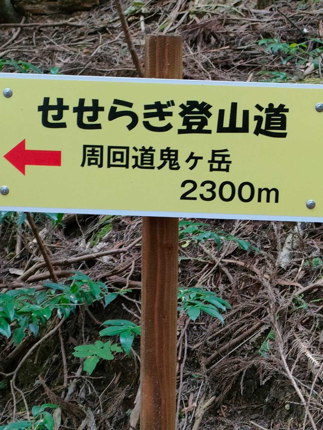 鬼ヶ岳 周回コースの写真