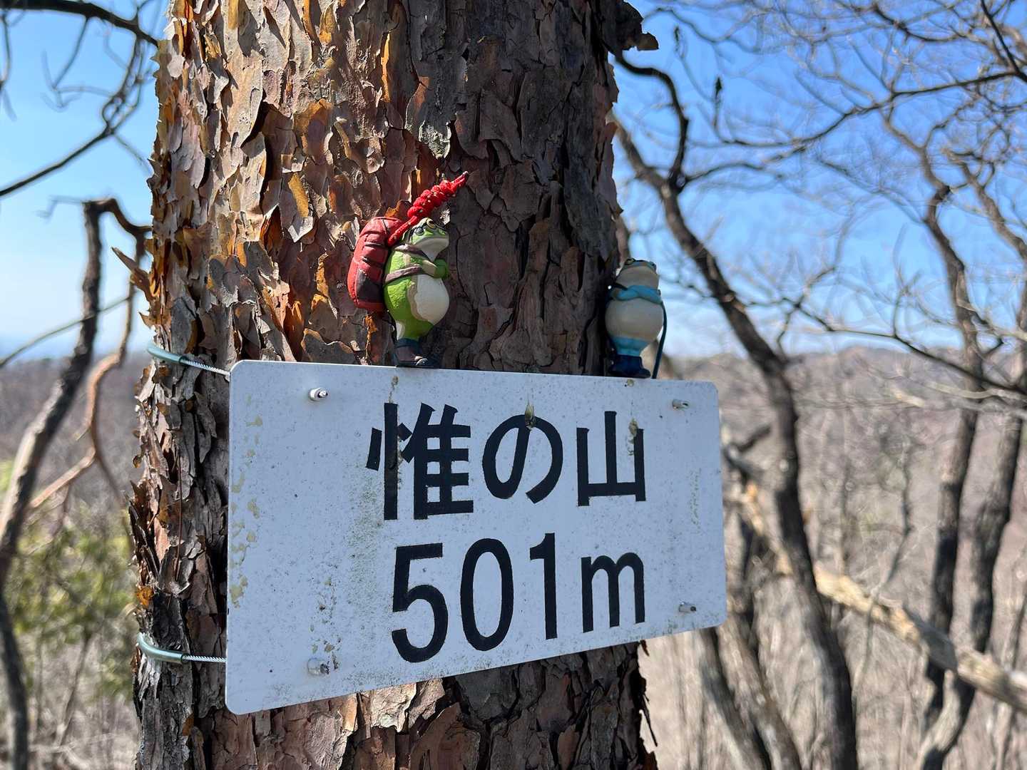 小俣北町バス停-仙人ヶ岳-知ノ岳-宗の岳-猪子山 周回コースの写真