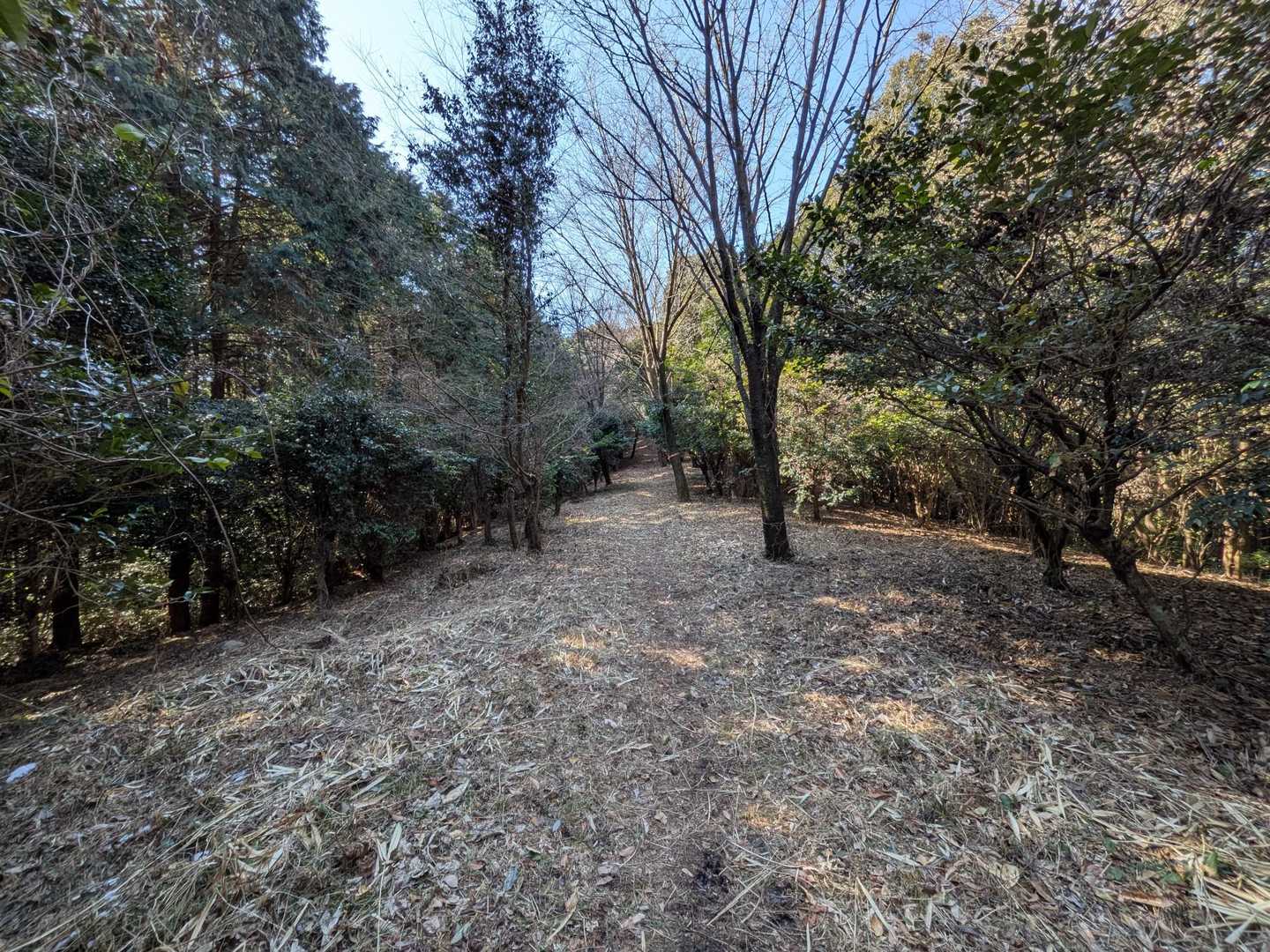 聖岳まで登ると、あとは歩きやすい縦走路が続きます
