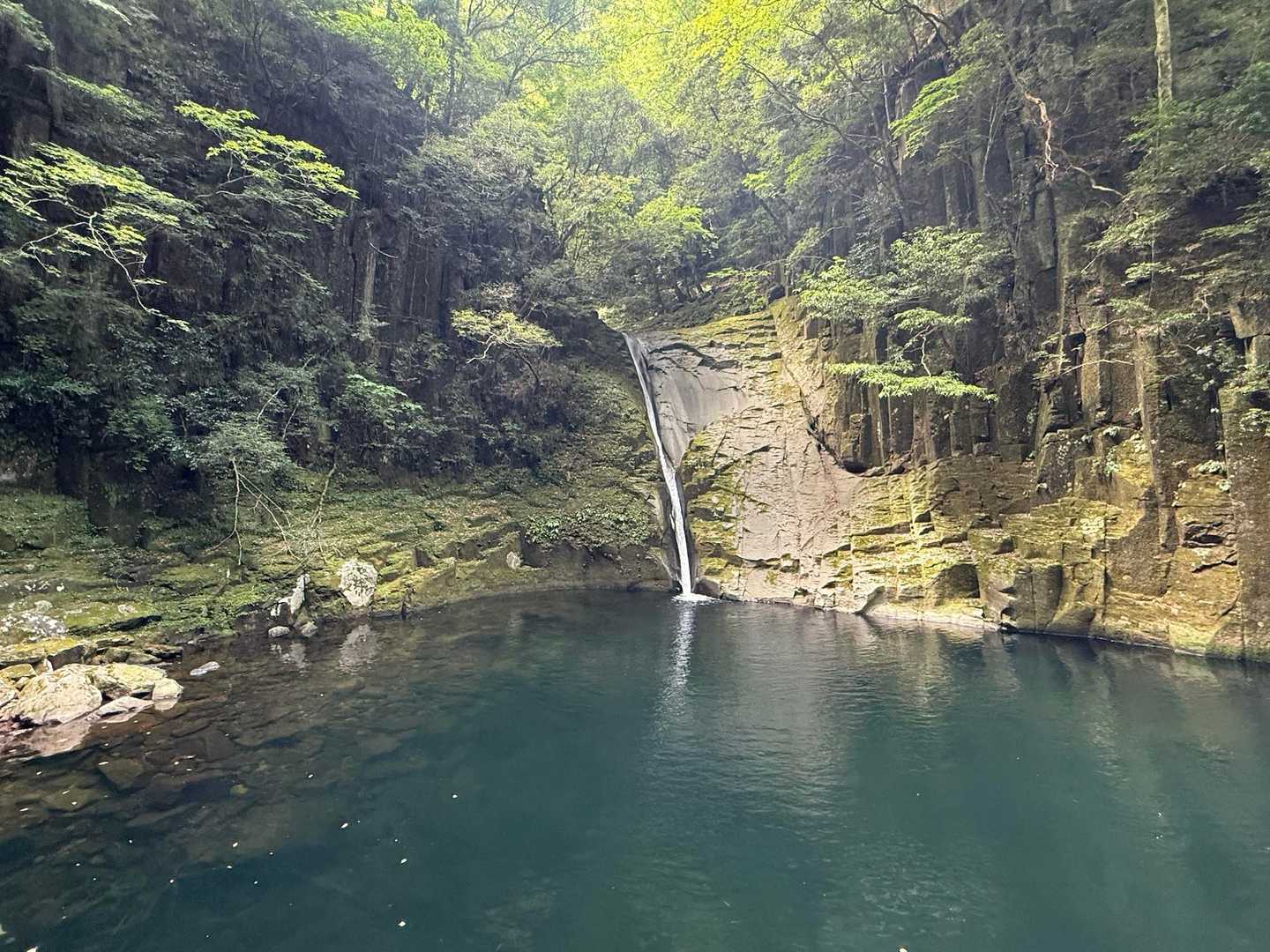これは一直線に落下してる様が美しかったです✨