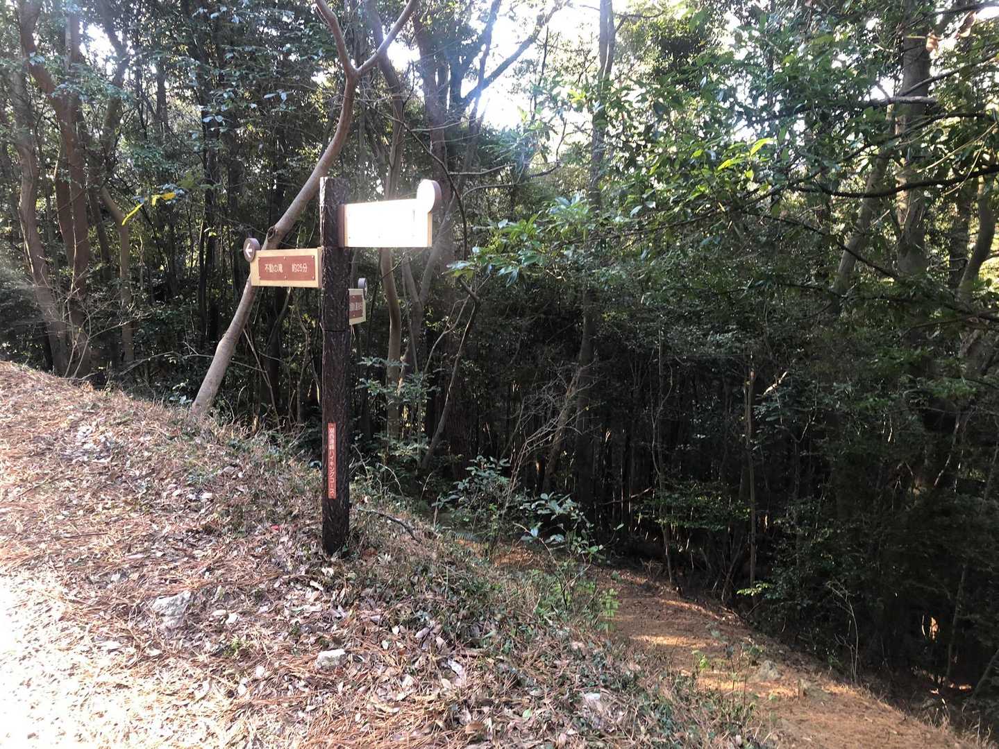 富士見岩-大知波峠 周回コースの写真