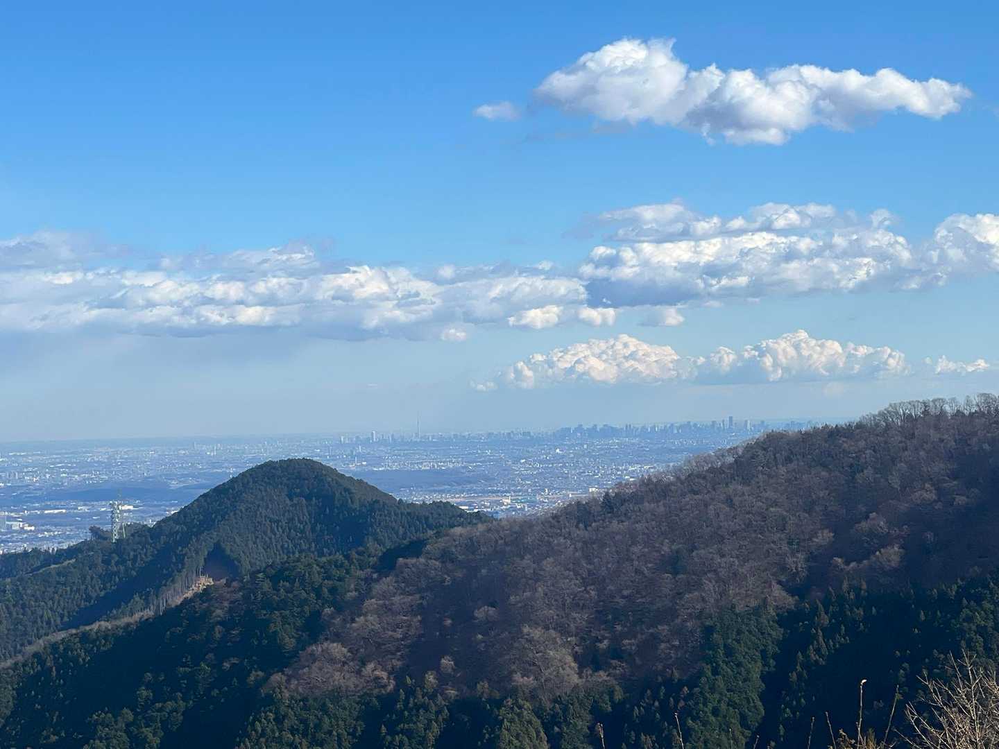 スカイツリーと大都会のビル群。