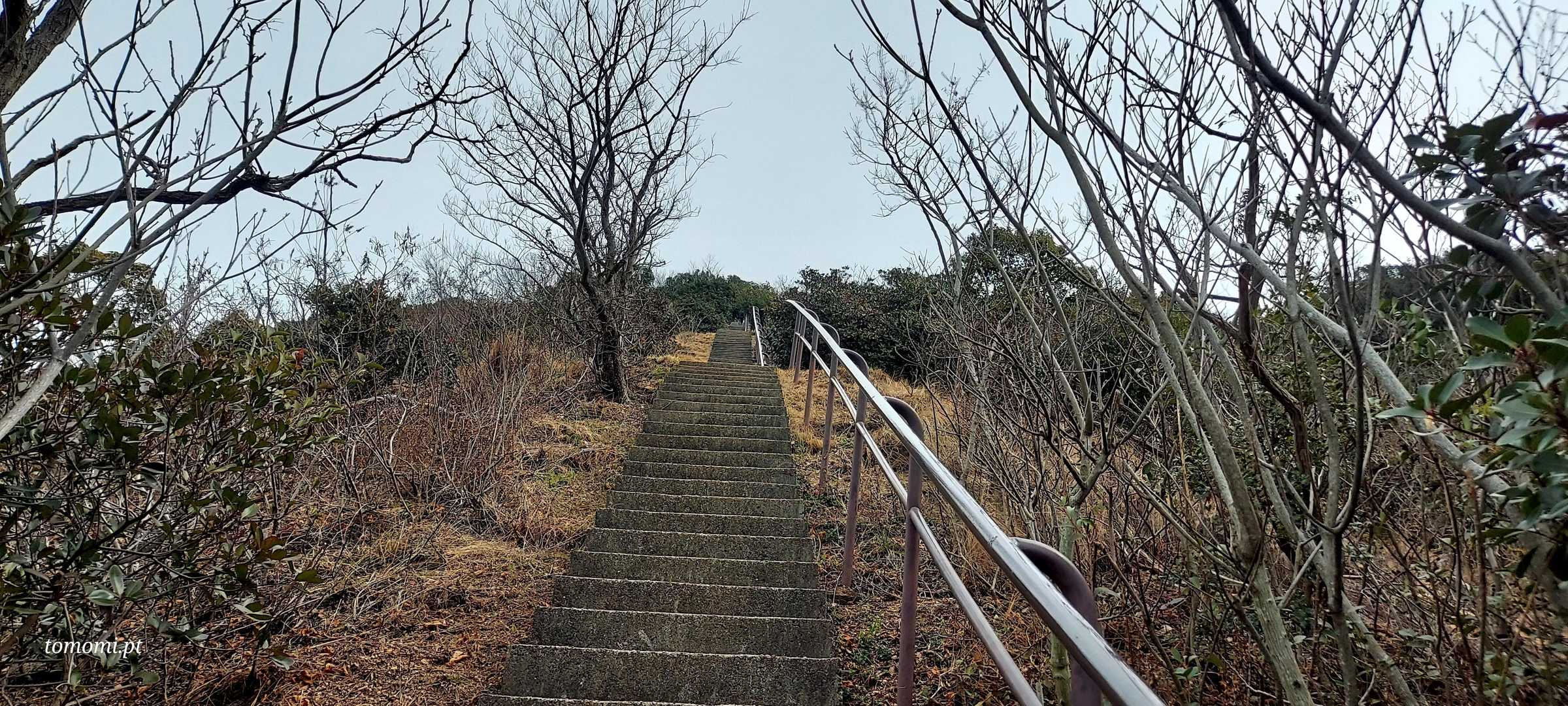 横尾山-東山 往復コースの写真