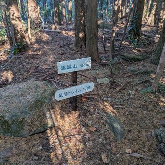 馬越山頂上。尾鷲トレイルを歩いているようだ