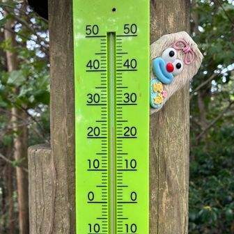三上山山頂の気温は23度でした！