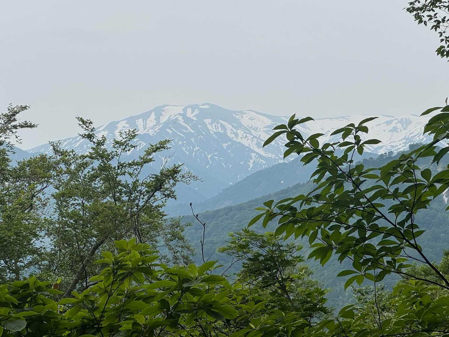 横目に飯豊本山🏔️
疲れた気持ちが癒されます
