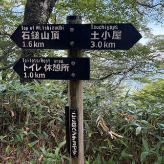 ベンチ3
ここからはいろんなお花が🌸🌼🪻たっくさん！
🐝が付いて来るので汗で落ちた虫よけスプレーもう一回重ねて！