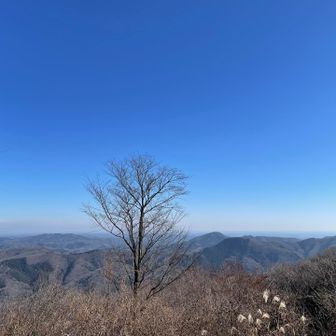 山頂でしばし休憩したらすぐに下山です