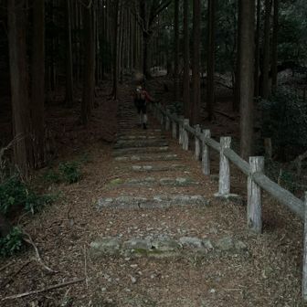 整備された遊歩道を登り