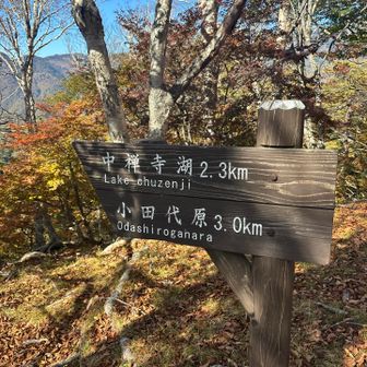 小田代原へ