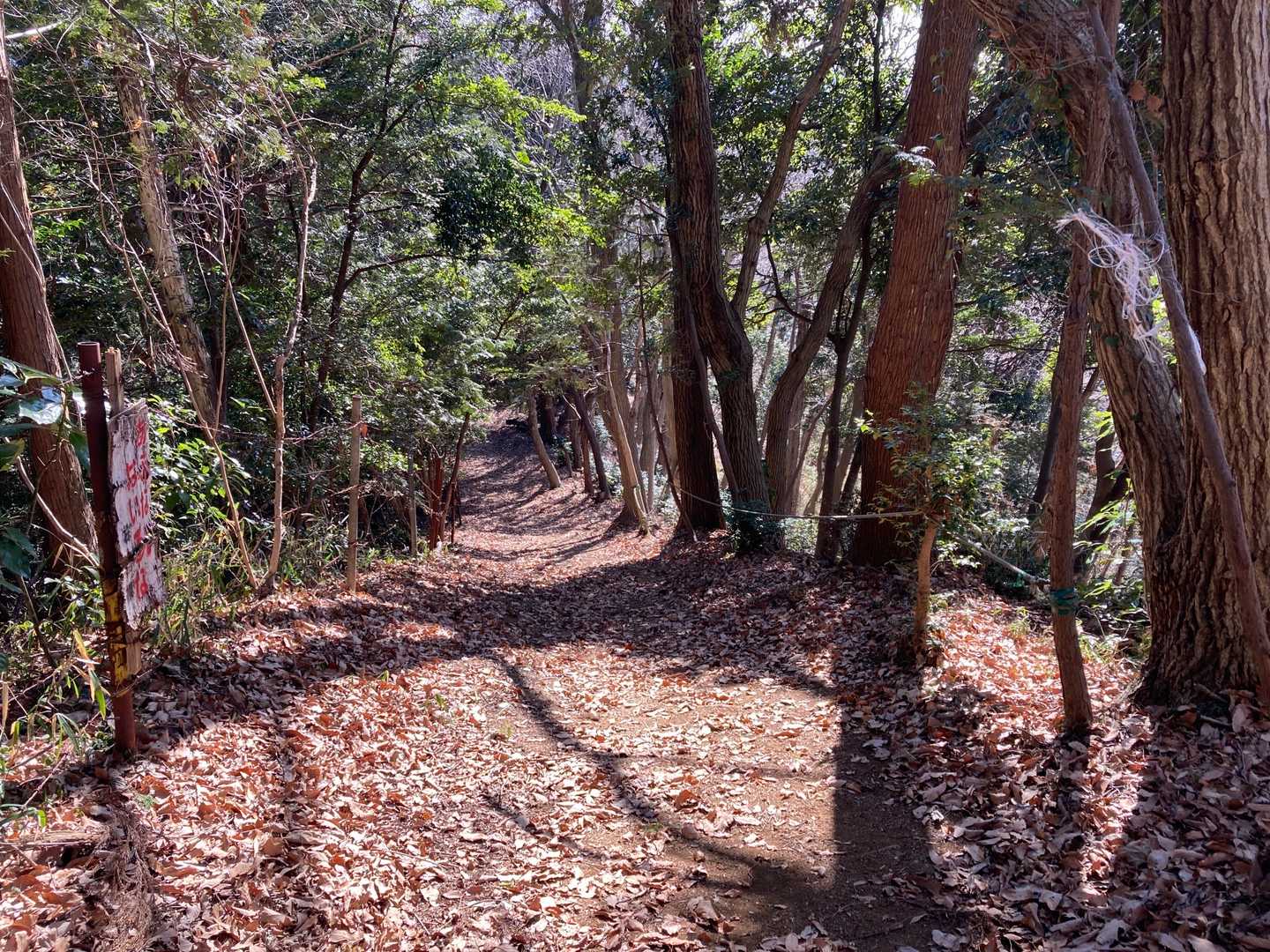 では、ストック1本で下山しますね😅
　段ボール有ったら、滑って降りたいな～👌