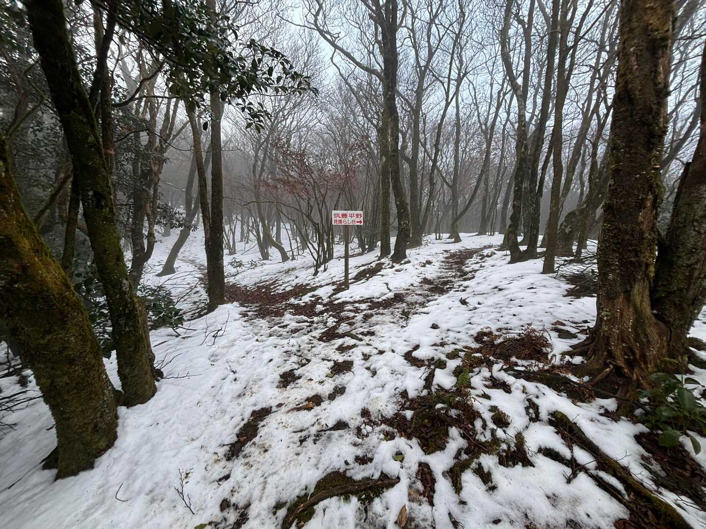 雪　雪❄️