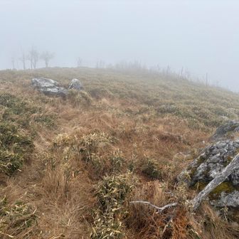 さんさん歩いて