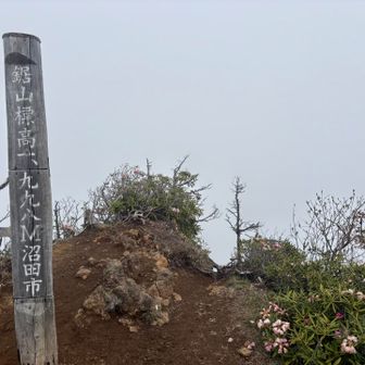 唯一の絶景スポットじゃないの⁈😂