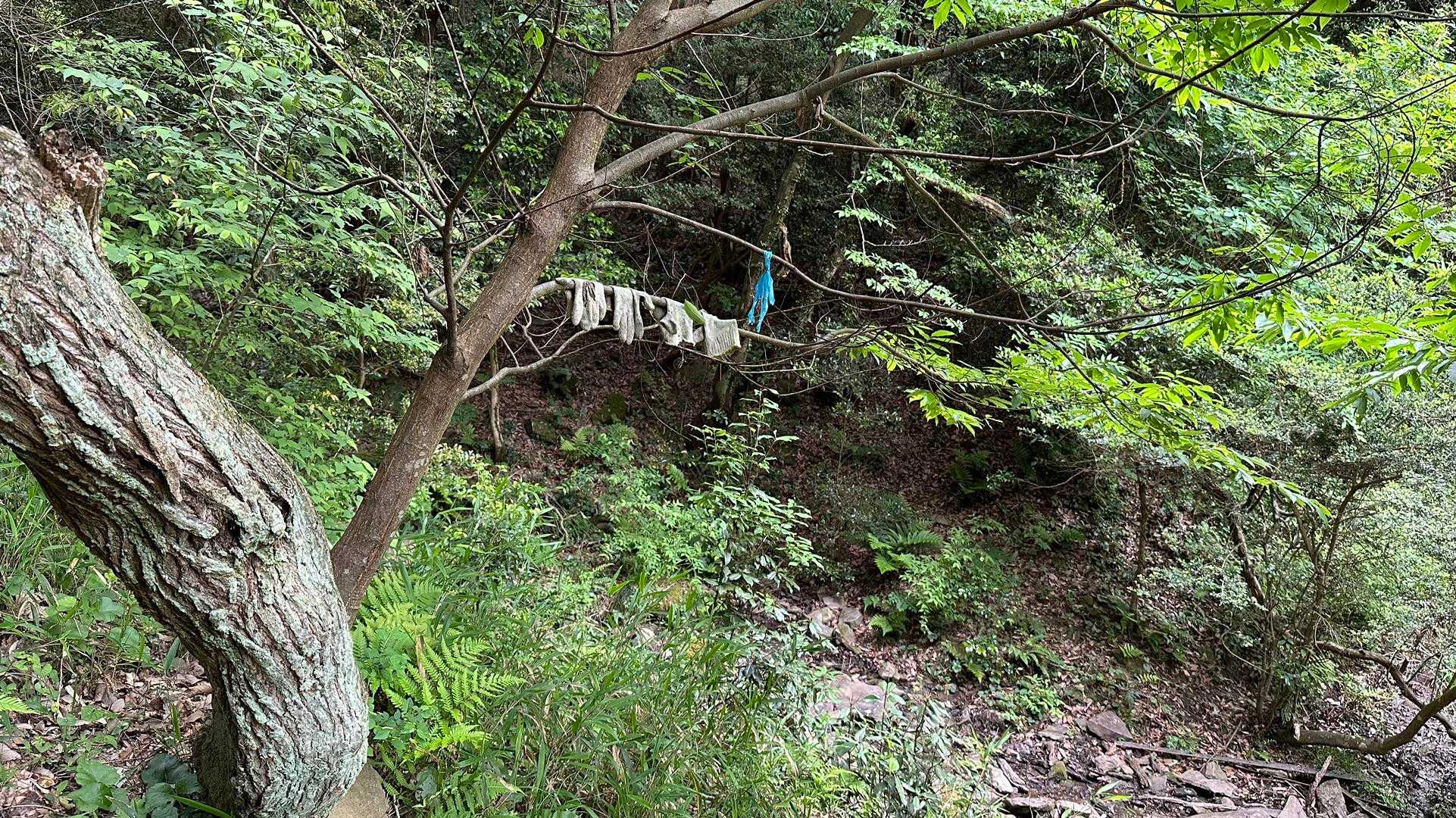 村積山 往復コースの写真