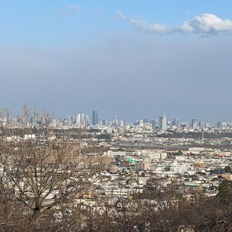 東京タワー🗼麻布🏬も見えて