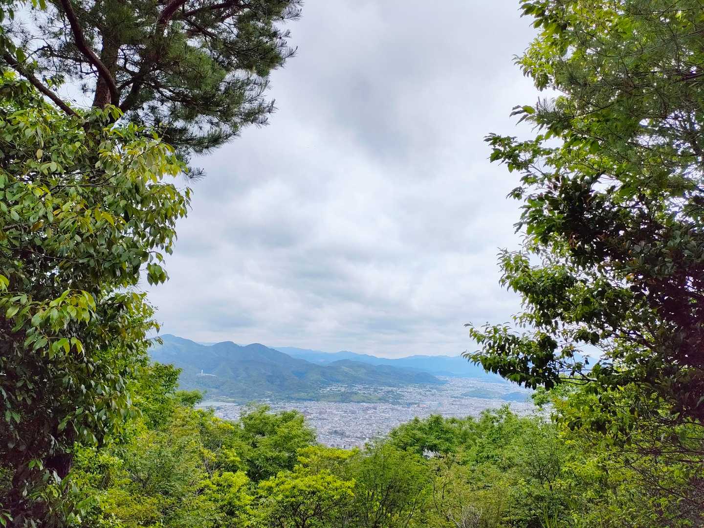 上桂駅-松尾山-嵐山 縦走コースの写真