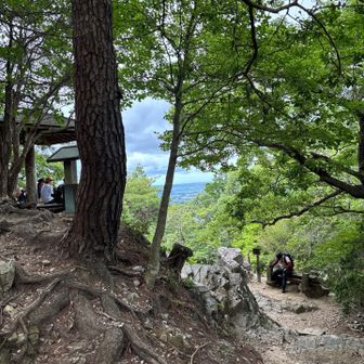 賑やかなな東屋🛖