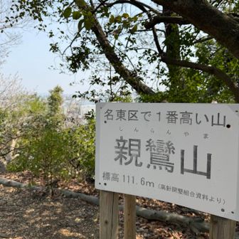 らしいです！この後緑地の桜を見る予定が道を間違えて見られず