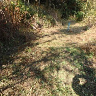 登山口も草刈ですっかりきれいに！文殊岳で朝日を楽しむ会の方にお礼を申し上げた。