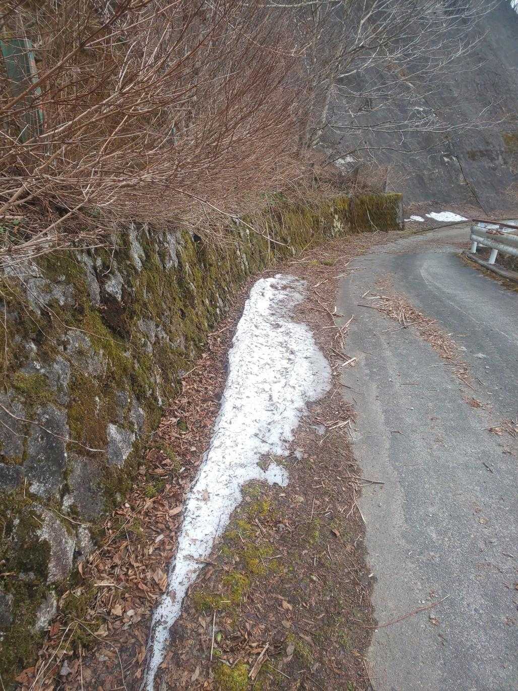 まさかの残雪😲