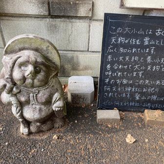 ようやく会えたぽんぽこ♡