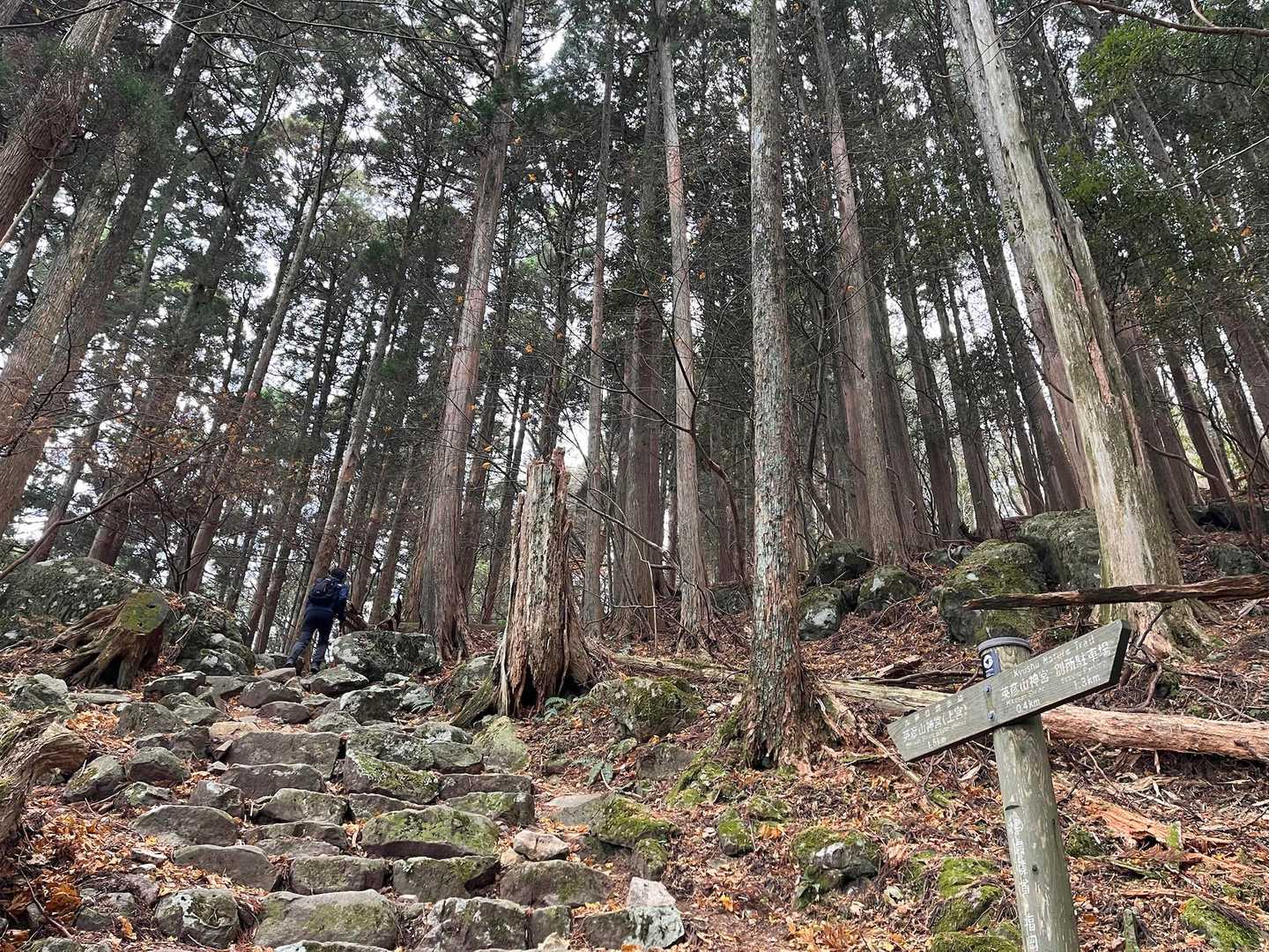 この階段がつらい