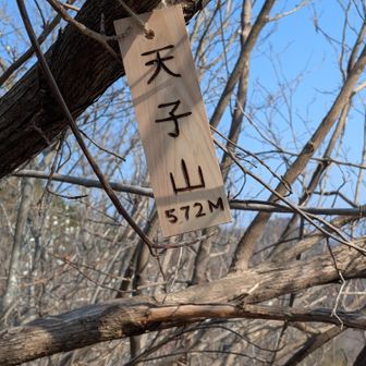 【天子山】山頂