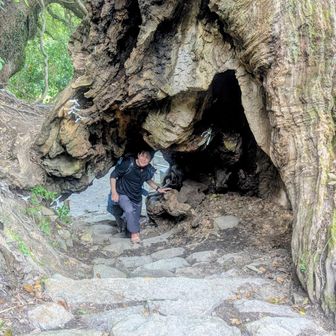 地元ガイドのオススメまずはココ✌️
くぐればシアワセになれる木🌳

シアワセになりたぁ〜い✨️