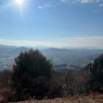 ベンチの展望台から