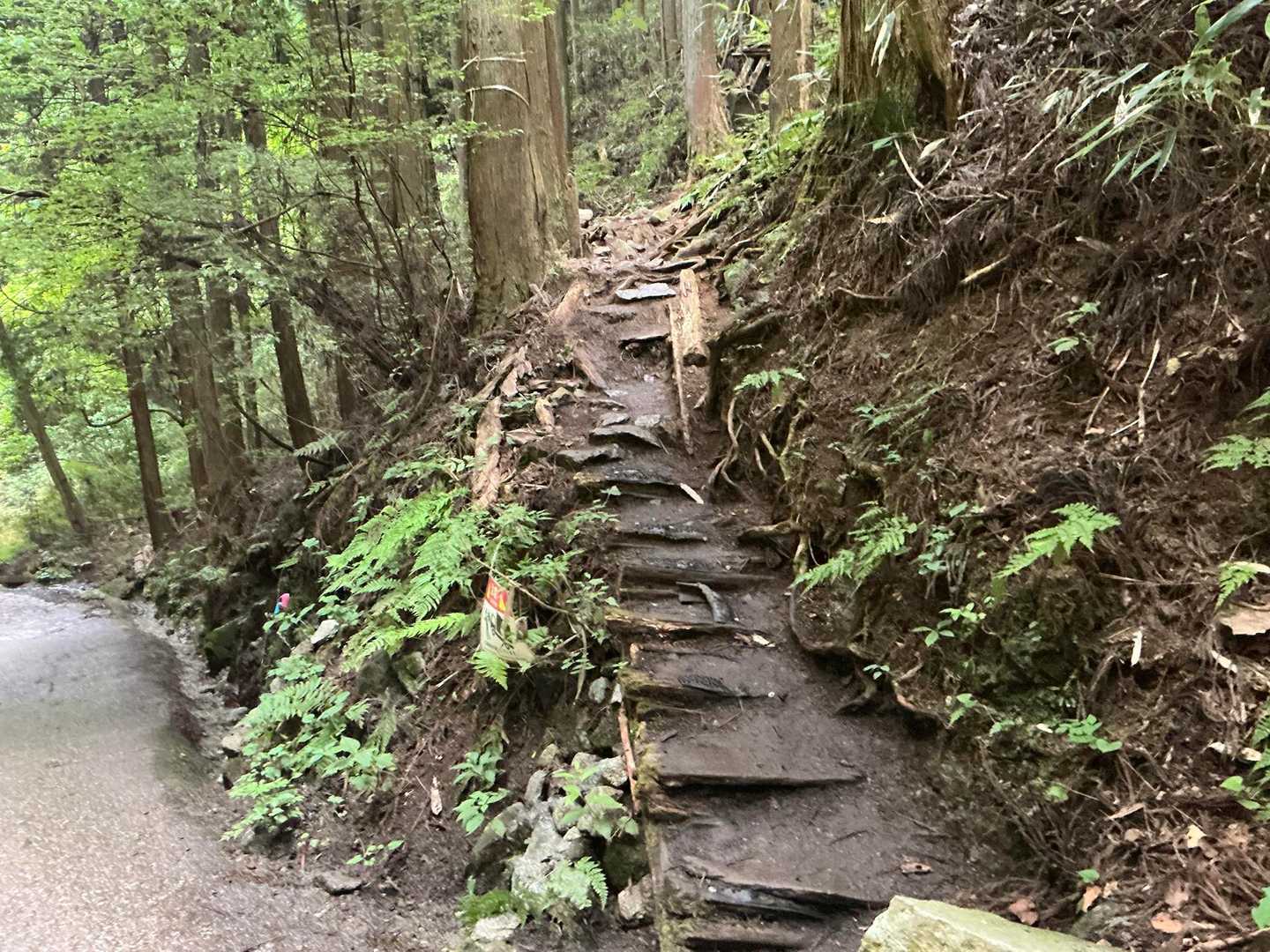 3回目の寺谷ルート。

よし、頑張って行くぞ💪

寺谷ルートは沢沿いなので、先月に来た時よりも花が咲いているはず。