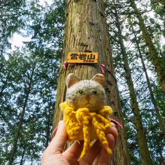 雷岩山到着
ここも高いよ