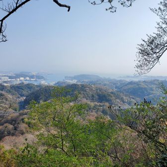 山頂から少し見える田浦側海