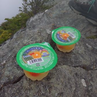 凍らせたゼリーが丁度の溶け具合