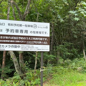 タイムスB予約対応してたのか！