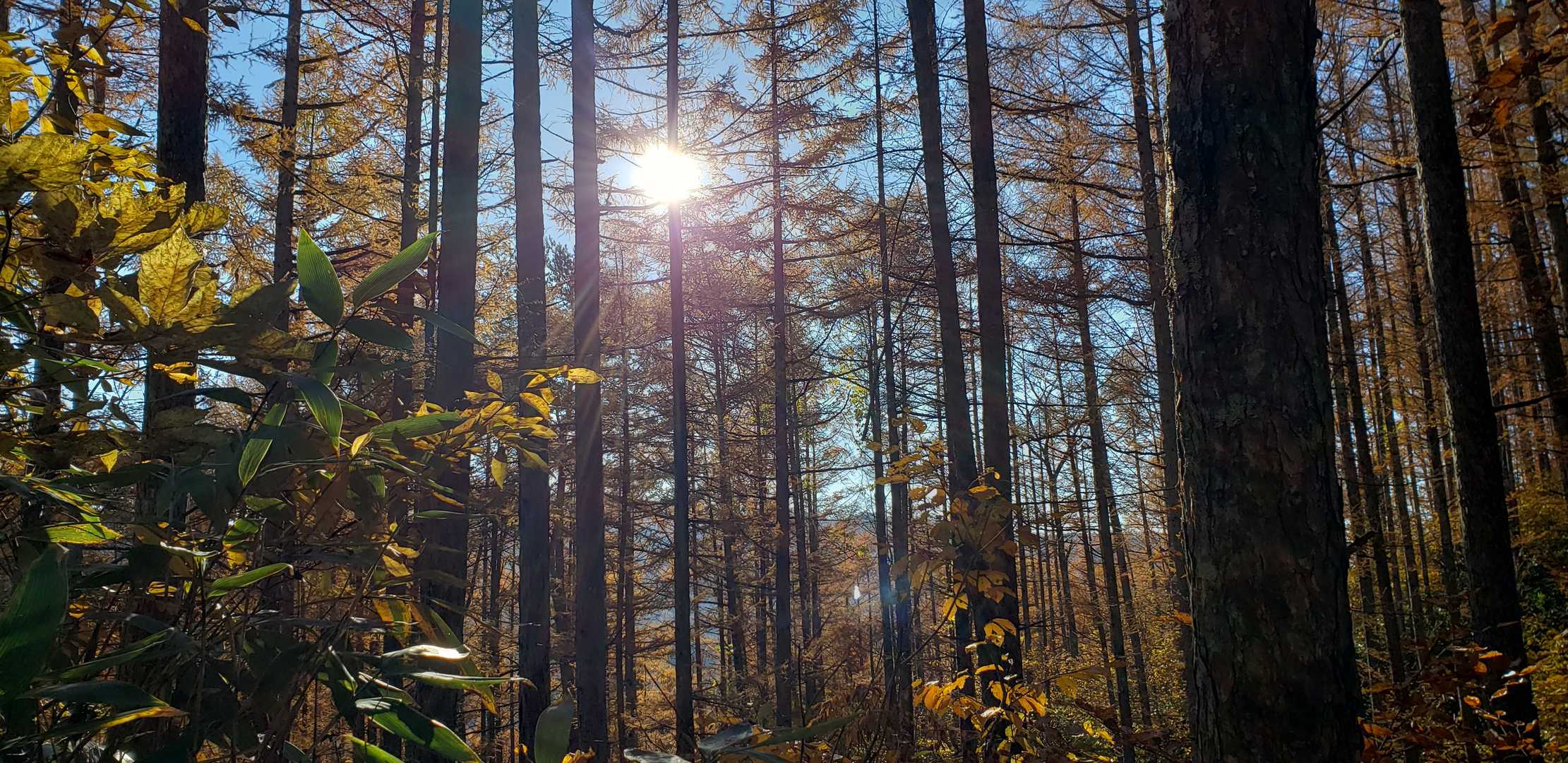朝日が眩しい
