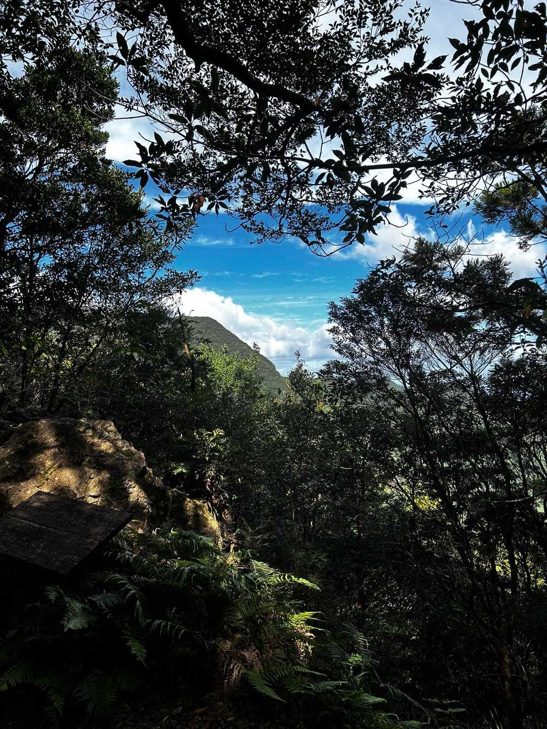 見返り峠-黒髪山 往復コースの写真
