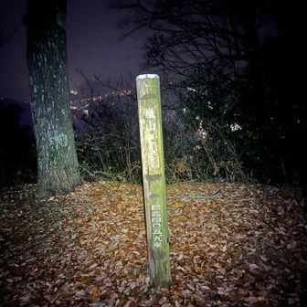 嵐山到着✌️

嵐山は後半の4座(石砂山、石老山、嵐山、城山)の中で一番低い山ながら、登山口から山頂まではやたらとアップダウンを繰り返し、同じような景色が繰り返し現れるため、全然前に進んでいる気がせず物凄く消耗しました😅