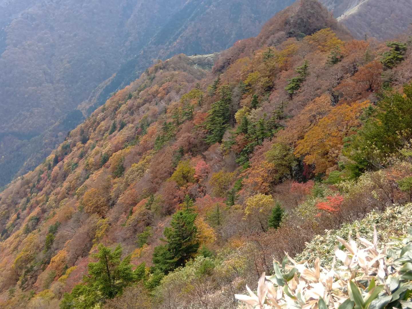 お疲れ山でした😊