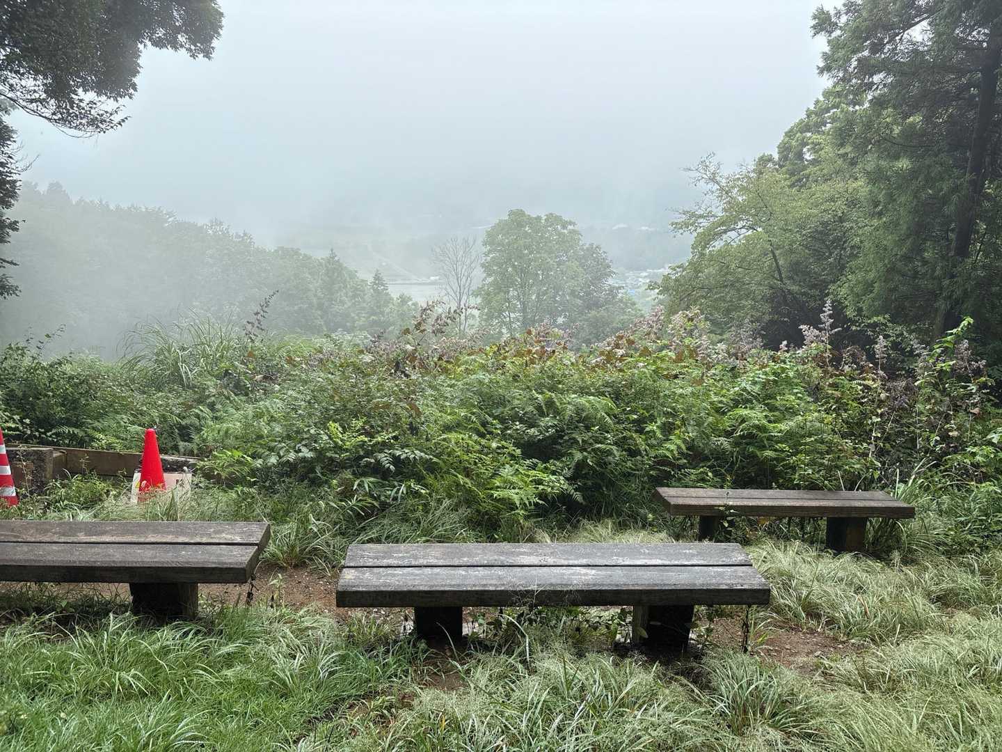 ガスガスで眺望なし
そういえば、山頂で山名板撮影忘れました💦