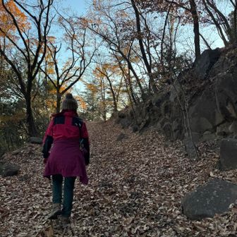 ここも落ち葉だらけ