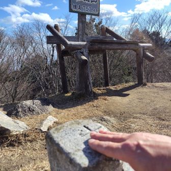 堀坂山山頂も行くか迷った末、行くことにしました。