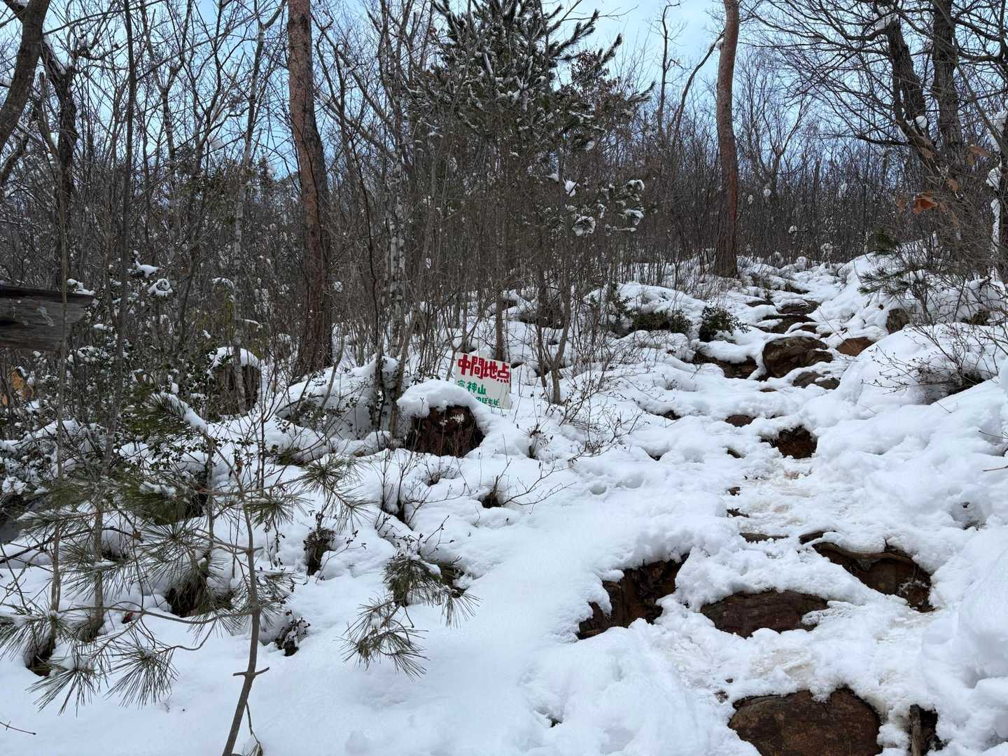 中間点❄️
今年も雪は少ないそう。