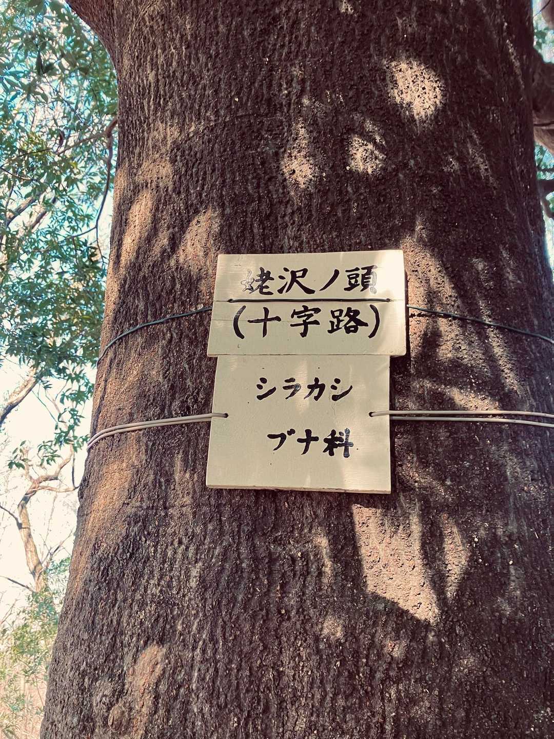 お昼何作ろうかと考えながら