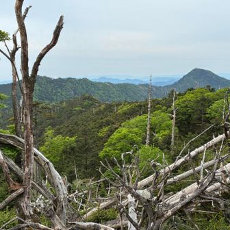 仏生ヶ岳から釈迦ヶ岳を望む。